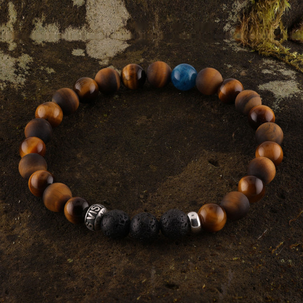 FOCUS DUO · APATIT EDITION