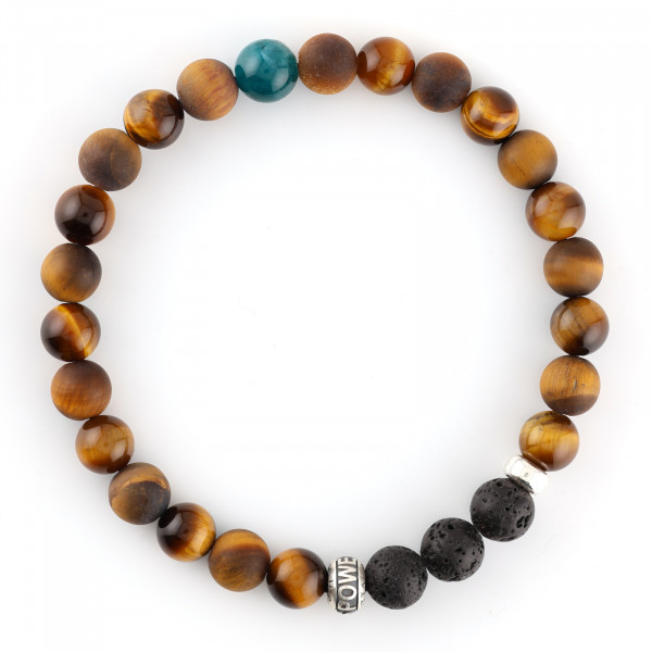 FOCUS DUO · APATIT EDITION