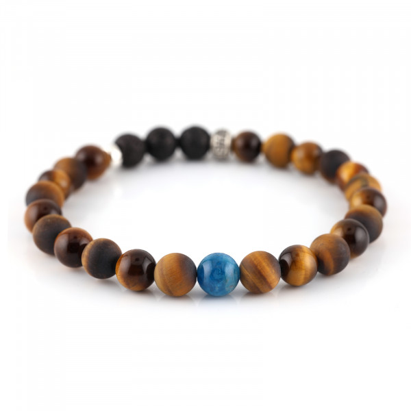 FOCUS DUO · APATIT EDITION