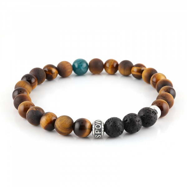 FOCUS POWER APATIT EDITION