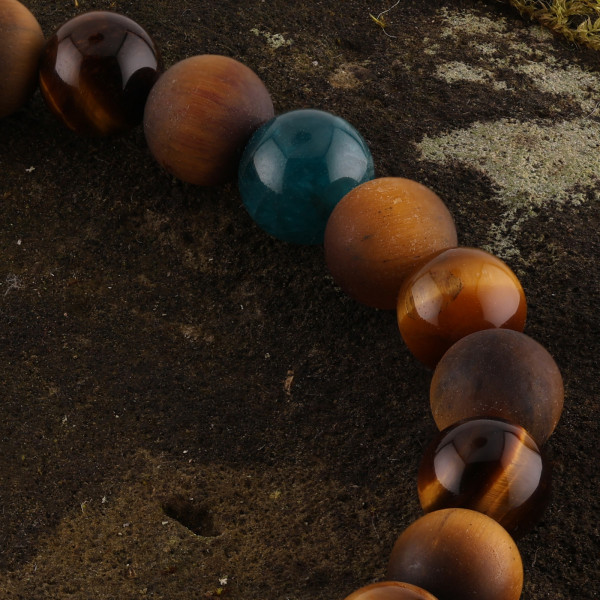 FOCUS DUO · APATIT EDITION