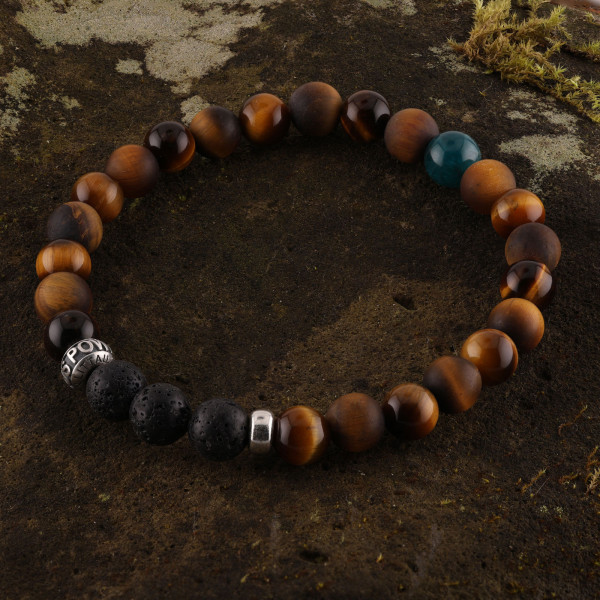 FOCUS POWER APATIT EDITION