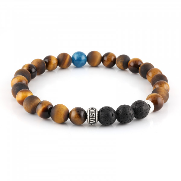 FOCUS VISION APATIT EDITION