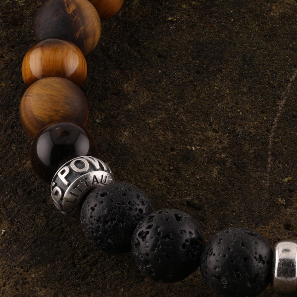 FOCUS DUO · APATIT EDITION